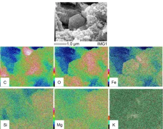 Figure 6. Mapping results of energy dispersive X-ray analysis performed for B. braunii residue carbonized at 700˚C with no argon flow