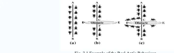 Fig. 3.1 Example of the Real Ant’s Behaviour 