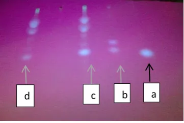 Figure 3 showed TLC under uv light a-stander aflatoxin B1, b-stander aflatoxin B2, c and d- samples  