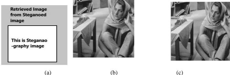 Figure 3.1 (a) Original image (b) Steganoed image (c) Retrieved image 