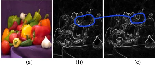 Figure 9. (a) Input image (b) Results By Sobel Method (c) Results by Optimal Standpoint   