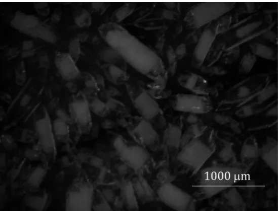 Figure 3. Sample of AAP crystal image. Saturation was set to −100 with Microsoft Office 2010