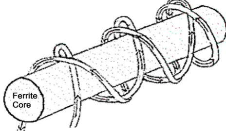 Figure 3. The caduceus coil. 
