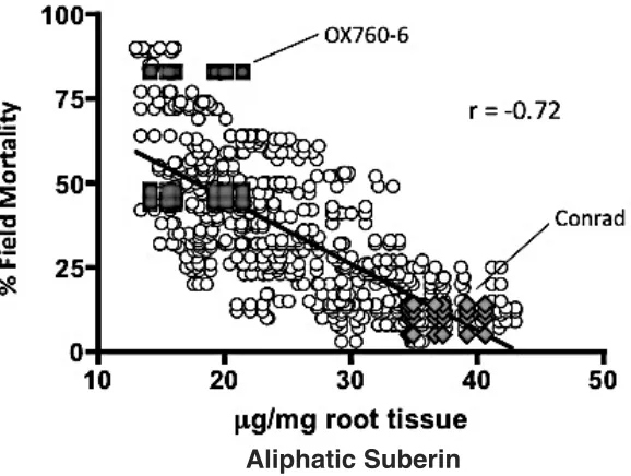 Figure 1: The relationship between preformed whole-root suberin and partial resistance of 
