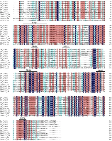 Figure 5: Amino acid sequence alignment of the related proteins CYP86A1, CYP86A33, 