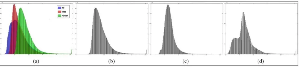 Fig. 5. Image histogram and contrast stretching: (a) three-band histogram of the original image; (b) RGmax; (c) NIRGlinearD; (d) RGmax → 