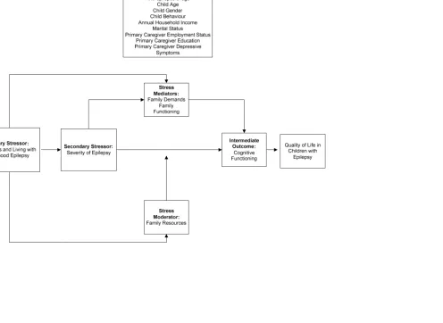 Figure 1. Conceptual Framework Based on a Stress Process Model used to Guide Research in Childhood Epilepsy 