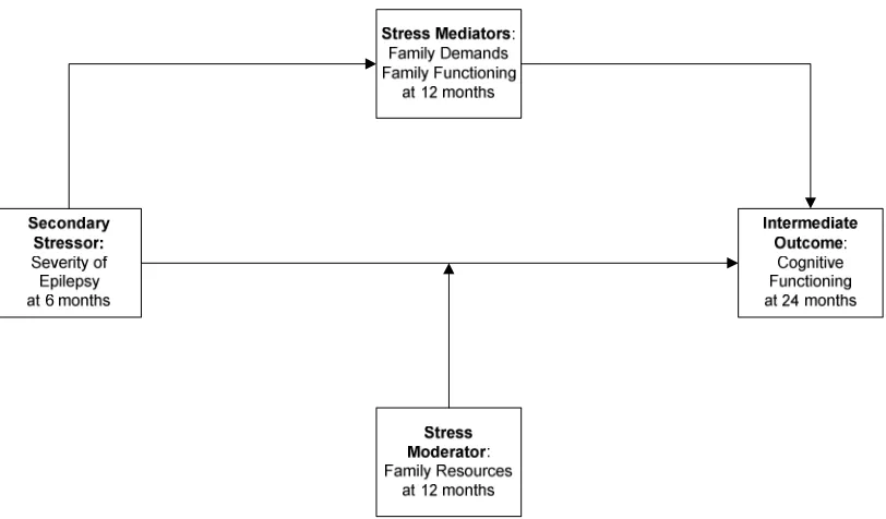Figure 3. Segment of the Stress Process Model specifying Time-Points for 
