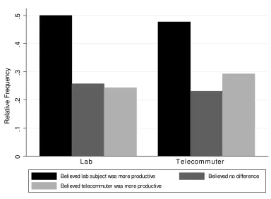 Figure 3: Relative frequency of beliefs regarding telecommuting productivity.