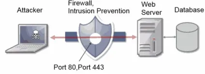 Fig 1.2 Application-layer attack type 