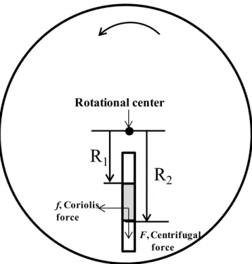 Figure 2.6: Schematic forces acting on a liquid plug on a rotating platform. 
