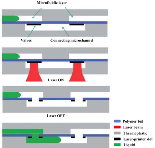 Figure 2.11: Schematic of laser melted microvalves. A main channel is separated  from a connecting channel by a piece of polymer foil (valve closed)