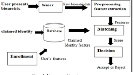 Fig. 1 User verification process 