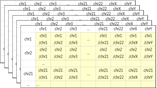 Figure 1. Normalization between chromosomes. Normalized value between two chro-mosomes is calculated by dividing the value of interested chromosome by that of each chromosome