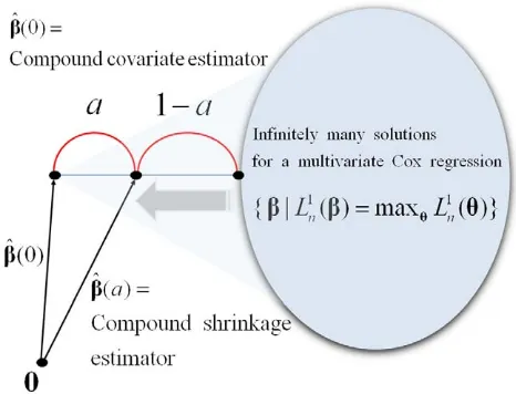 Figure 1. The proposed shrinkage scheme applied for thecompound covariate method.doi:10.1371/journal.pone.0047627.g001