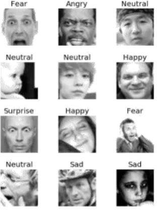 Figure 2. A sample of images from the data set, labeled with their corresponding emotions