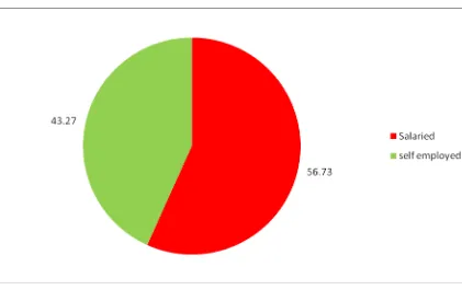 Figure 4.1: Respondents’ Distribution across the Type of Employment 