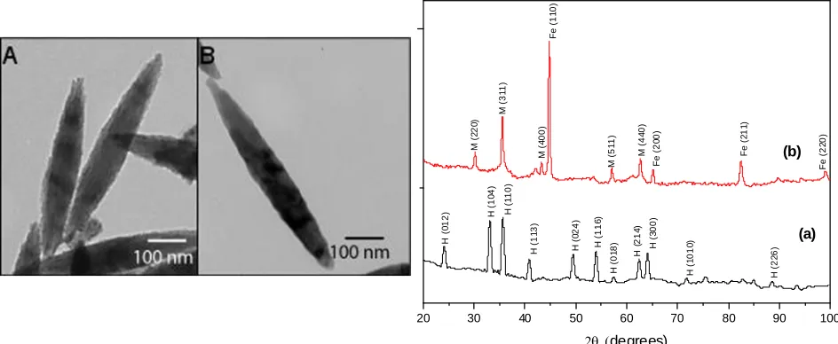 Figure 1. TEM pictures of (A) α-Fe2O3 and (B) α-Fe(0) NPs. X-ray diffraction patterns of α-Fe2O3 (a) and α-Fe(0) NPs (b), where planar peaks are hematite (H), iron (Fe) and magnetite (M)