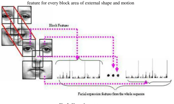 Fig 5. Show face states  
