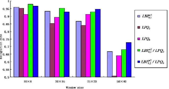 Fig 8. Average of classes balance in every figuration with 50*40 pixel 