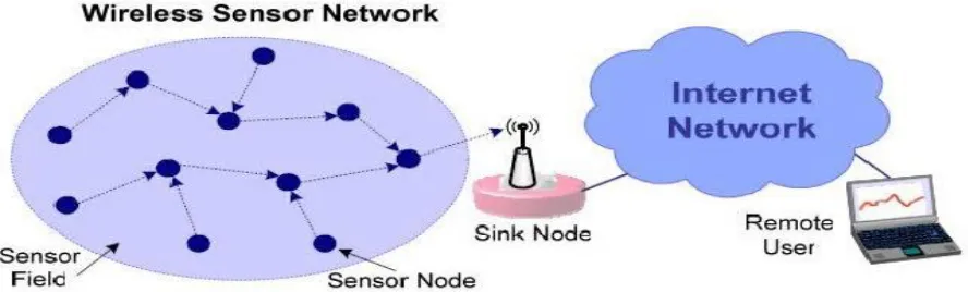 Figure 1: Typical WSN architecture and networking. 