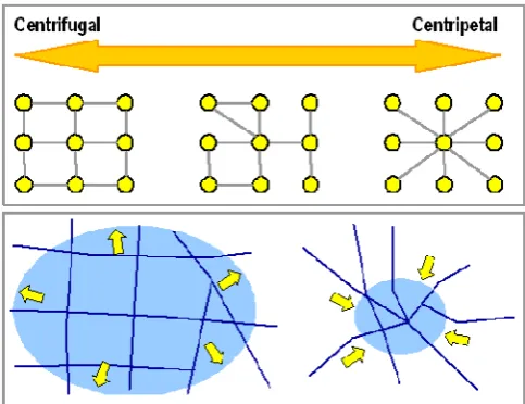 Fig. 3: The distinction between centripetal and centrifugal networks [6]