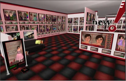 Figure 6.4: One of the first stores to which new avatars are teleported. 
