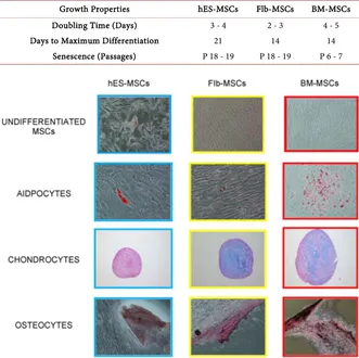 Table 1. MSCs from the three ontogenically different sources differ in their growth ki-netics