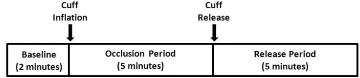 Figure 2.1 Study design outlining the series of FMD tests.  The succession of the occlusion pressure for test one was randomized between subjects
