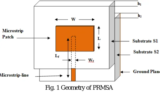 Fig. 1 Geometry of PRMSA  