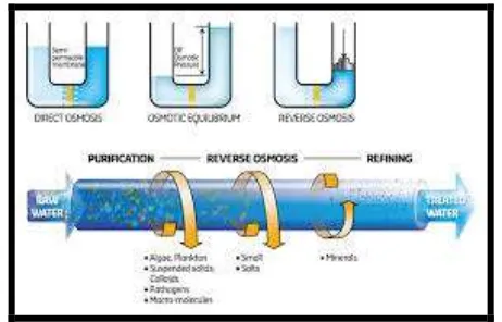 Figure No. 2: Representation Of Reverse Osmosis Process 
