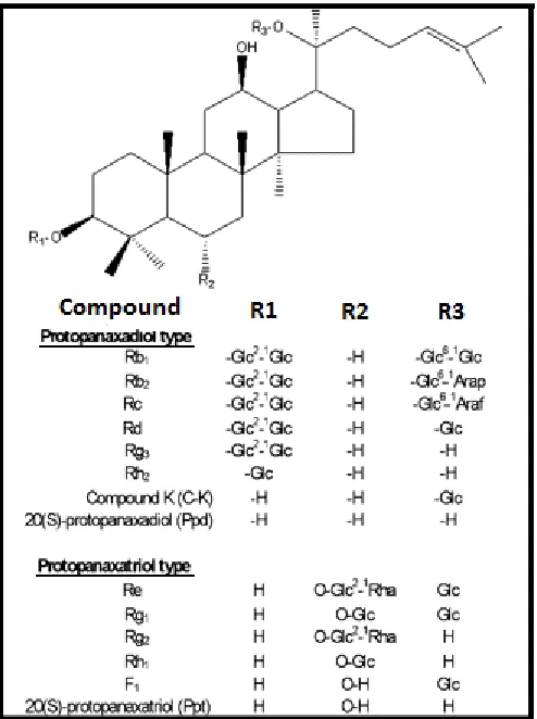 Figure. 1.4. Characteristic ginsenosides present in both Asian and NAG grouped into protopanaxadiol and protopanaxtriol groups (modified from Liu et al., 2006)