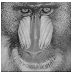 Fig. 11  Extracted shares  
