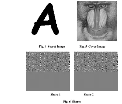 Fig. 4  Secret Image                   Fig. 5  Cover Image 