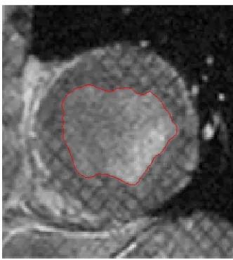 Figure 4: a) input image 
