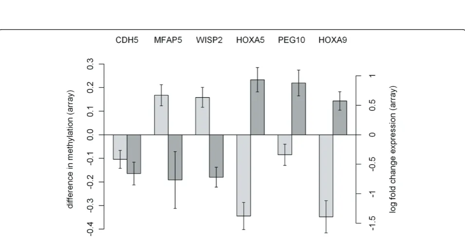 Figure 3 Network of differentially expressed genes and genes containing differentially methylated CpG-sites