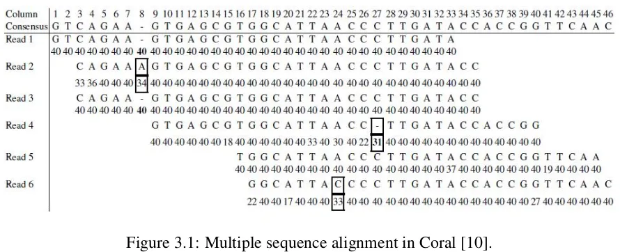 Figure 3.1: Multiple sequence alignment in Coral [10].