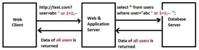 Figure 2: Malicious user input on the log in form 