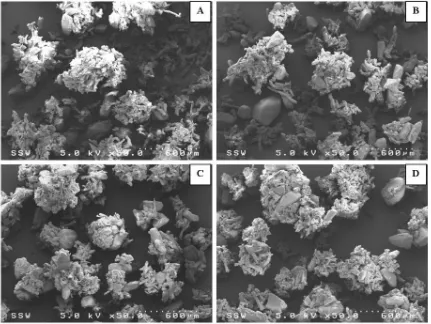 Figure 3.4: Scanning electron micrographs of samples from fluidized bed granulation at 0.95 m/s (A- 11.51%, B-