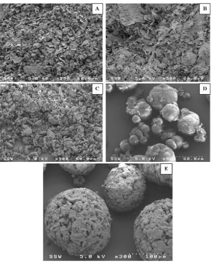 Figure 2.3: SEM images of raw components (A-magnesium stearate, B-magnesium silicate, C-calcium stearate, 