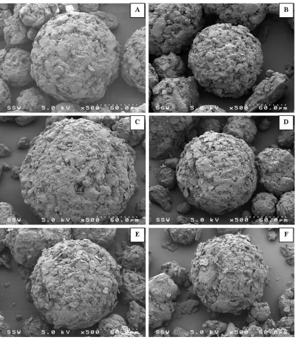 Figure 2.4: SEM images magnesium stearate and spray dried lactose mixtures (A-0.5 wt%, B-1.0 wt%, C-1.5 