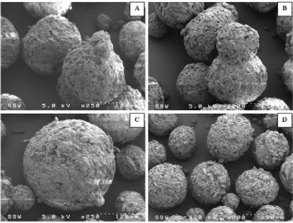 Figure 2.5: SEM images calcium stearate and spray dried lactose mixtures (A-0.5 wt%, B-1.5 wt%, C-2.0 wt%, 