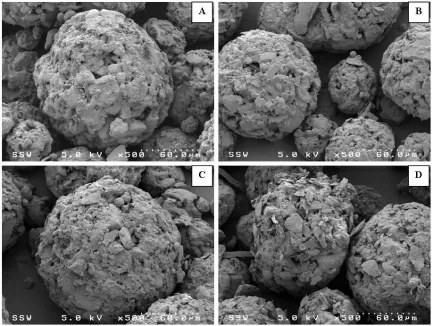 Figure 2.6: SEM images magnesium silicate and spray dried lactose mixtures (A-0.5 wt%, B-1.5 wt%, C-3.0 