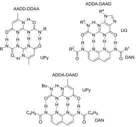 Figure 1-8 Common complementary hydrogen bonding arrays developed that resemble 