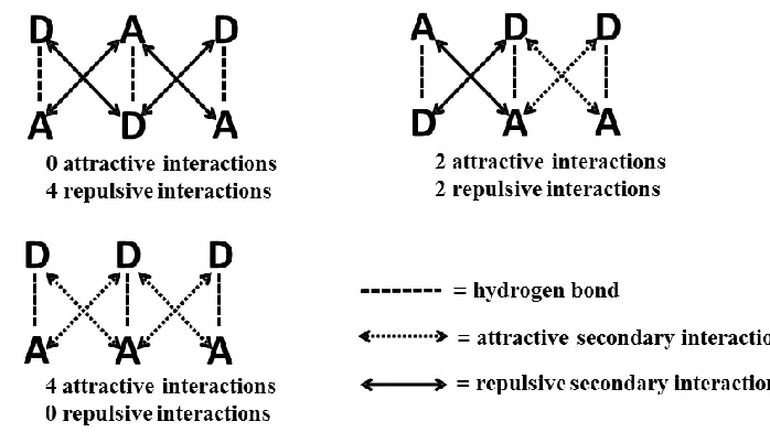 Figure 1-21 Secondary interactions shown in four different modules, DADADA, 