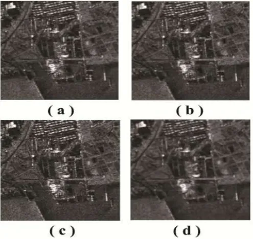Fig 4: Despeckled Images of Horsetrack Using (a) Median filter  