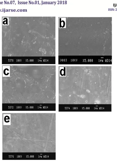 Figure 2: Scanning electron micrographs for (a) GG, (b) PVA, (c) 50/50 GG/PVA blend, (d) 60/40 GG/PVA blend and (e) 80/20 GG/PVA blend 