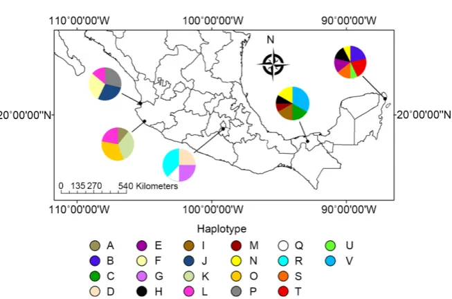 Figure 2. Distribution of cyt-b haplotypes of N. narica over its entire geographical range