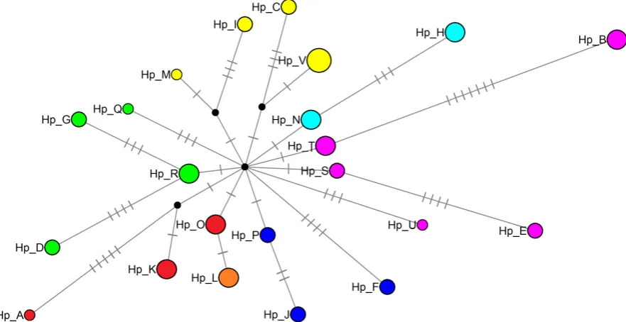 Figure 3. Maximum likelihood phylogram based on cyt-b haplotypes of N. narica (a), and consensus tree from the Bayesian anal-ysis (b)