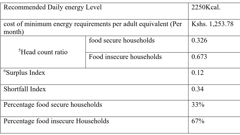 Table 4.6: Household Food Insecurity Indices for the Mandera County  